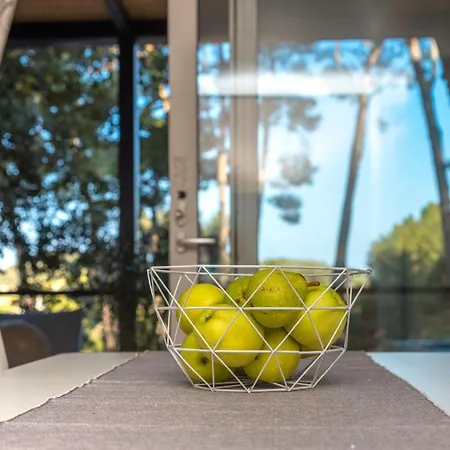 Camping Mobile Homes Azzurro